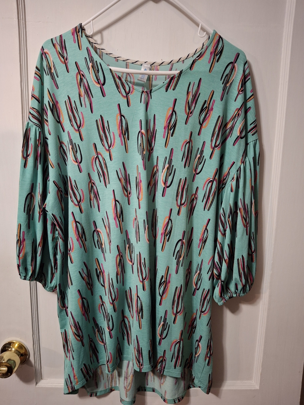 Paisley Grace Boutique Cactus Print V-Neck Tunic Blouse Mint Teal Size 1X